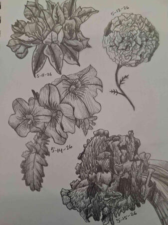 Sketchbook Flowers